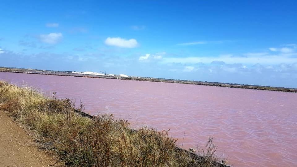 Vue Imprenable Sur Le Port, Proche Plages ! Daire La Grande Motte Dış mekan fotoğraf